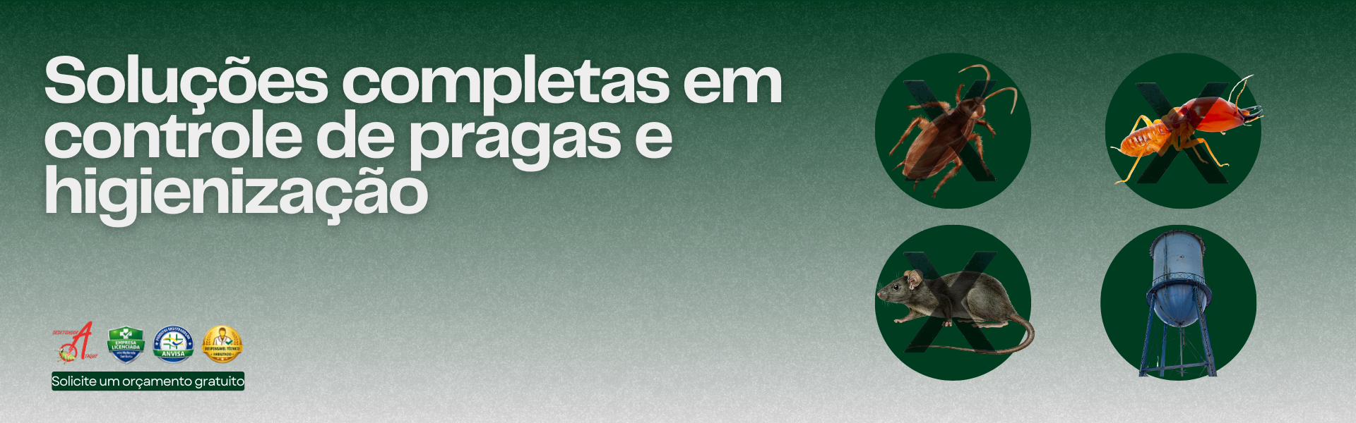 Controle de Pragas em SP HD